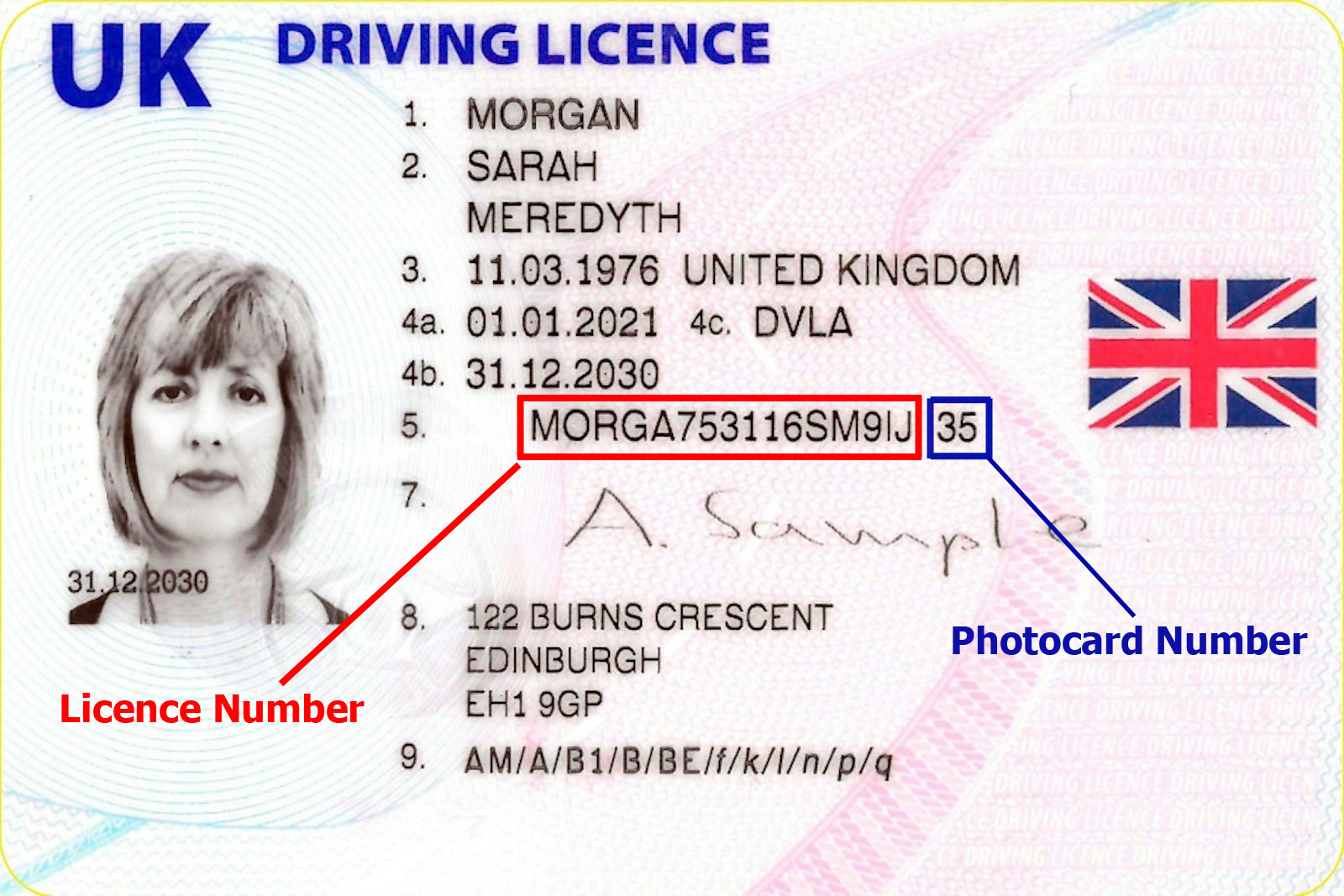 licence number